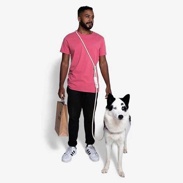 Повідець для собак Zee Dog 120 - 240 см - Vanilla Hands-Free 390277 фото